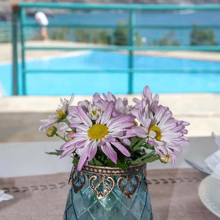 Sokol Hotel 4*
